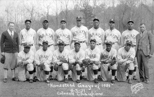 Homestead Grays Negro League Baseball