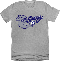 Anaheim Splash Indoor Soccer