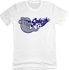 Anaheim Splash Indoor Soccer