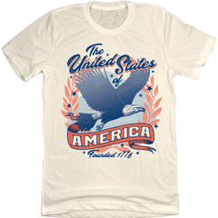 Flying Eagle America Banner