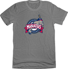 Brevard County Manatees