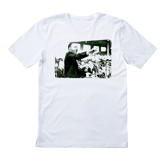 MLK - Speech Image