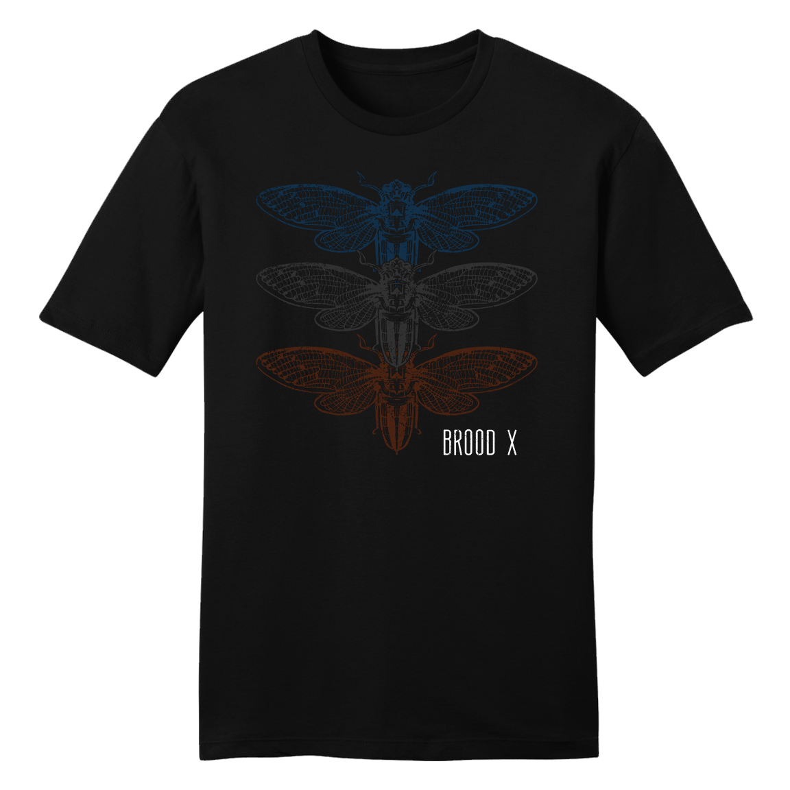 Cicada Brood X
