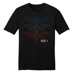 Cicada Brood X