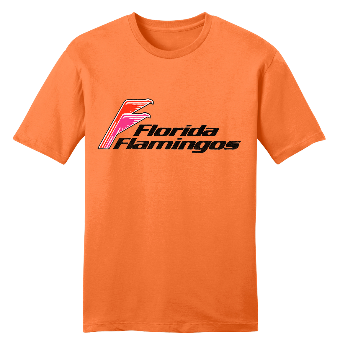 Florida Flamingos