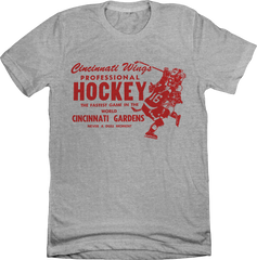 Cincinnati Wings Pro Hockey