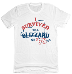 I Survived the Blizzard of '78 New York State Old School Shirts