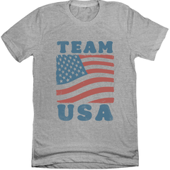 Team USA Flag Tee Grey Tee