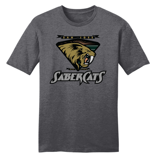 San Jose SabreCats