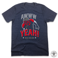 Awww Yeah! - New England Football Tee - Old School Shirts- Retro Sports T Shirts