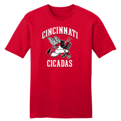 The Cincinnati Cicadas Baseball Team