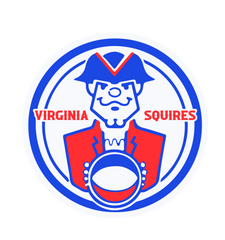 Virginia Squires Sticker