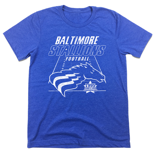 Baltimore Tshirt Baltimore Maryland Distressed T-shirt 
