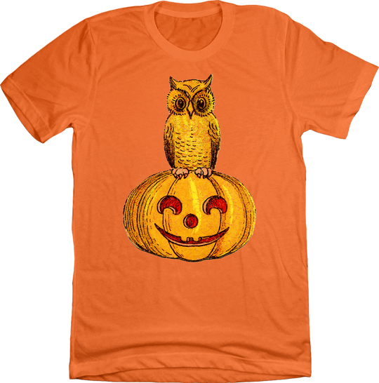 Owl on Jack O'lantern